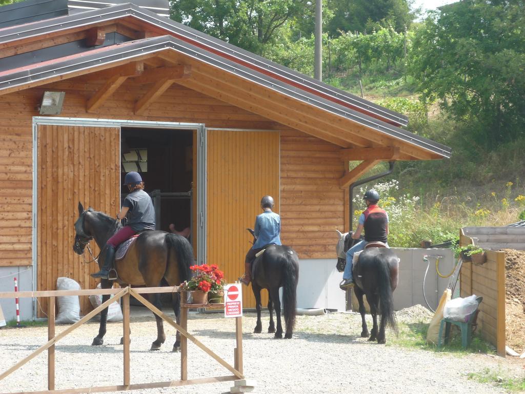 Micro-Cottage In Pietra La Ratatouille Dego Екстер'єр фото
