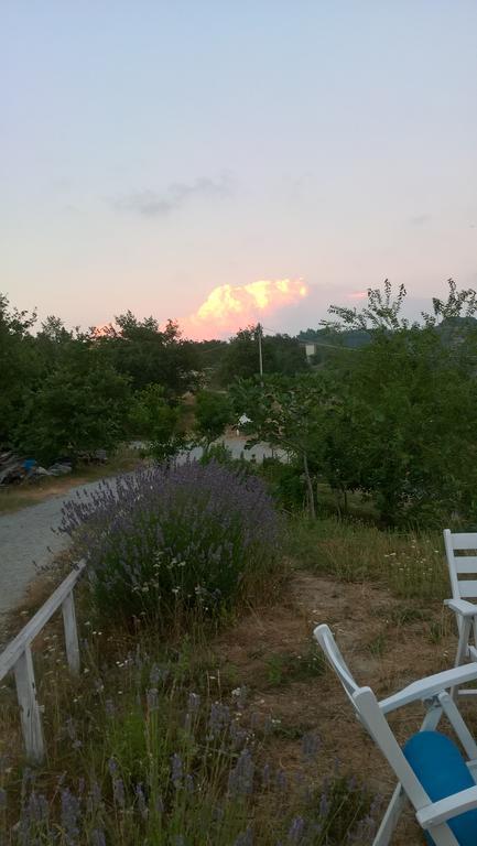 Micro-Cottage In Pietra La Ratatouille Dego Екстер'єр фото