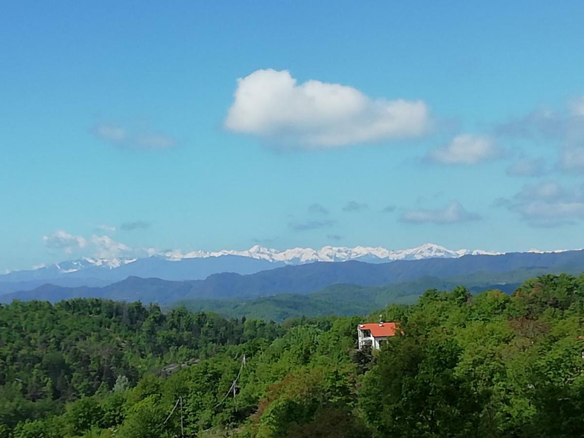 Micro-Cottage In Pietra La Ratatouille Dego Екстер'єр фото